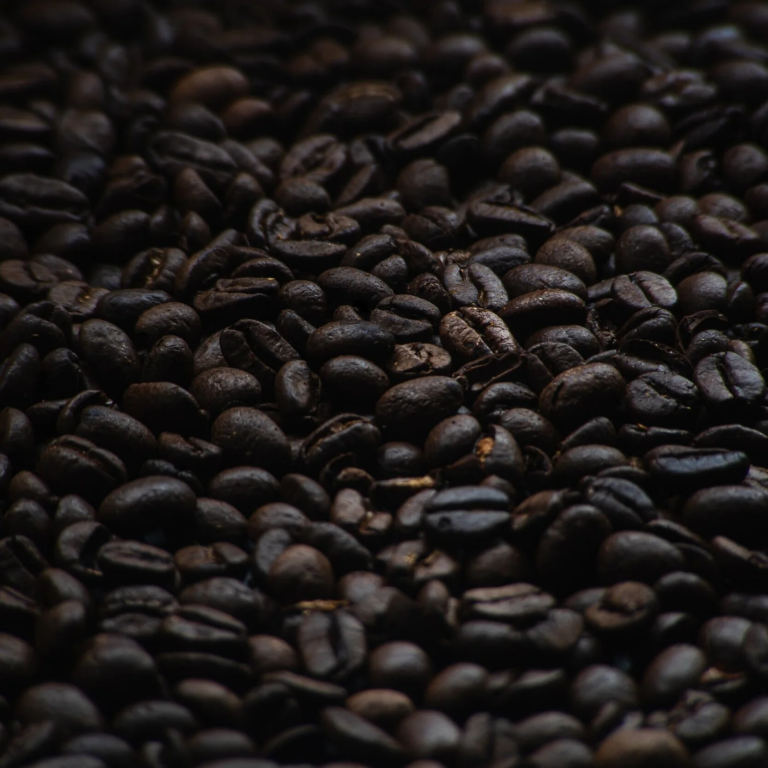Jual biji kopi roasting murah jakarta barat